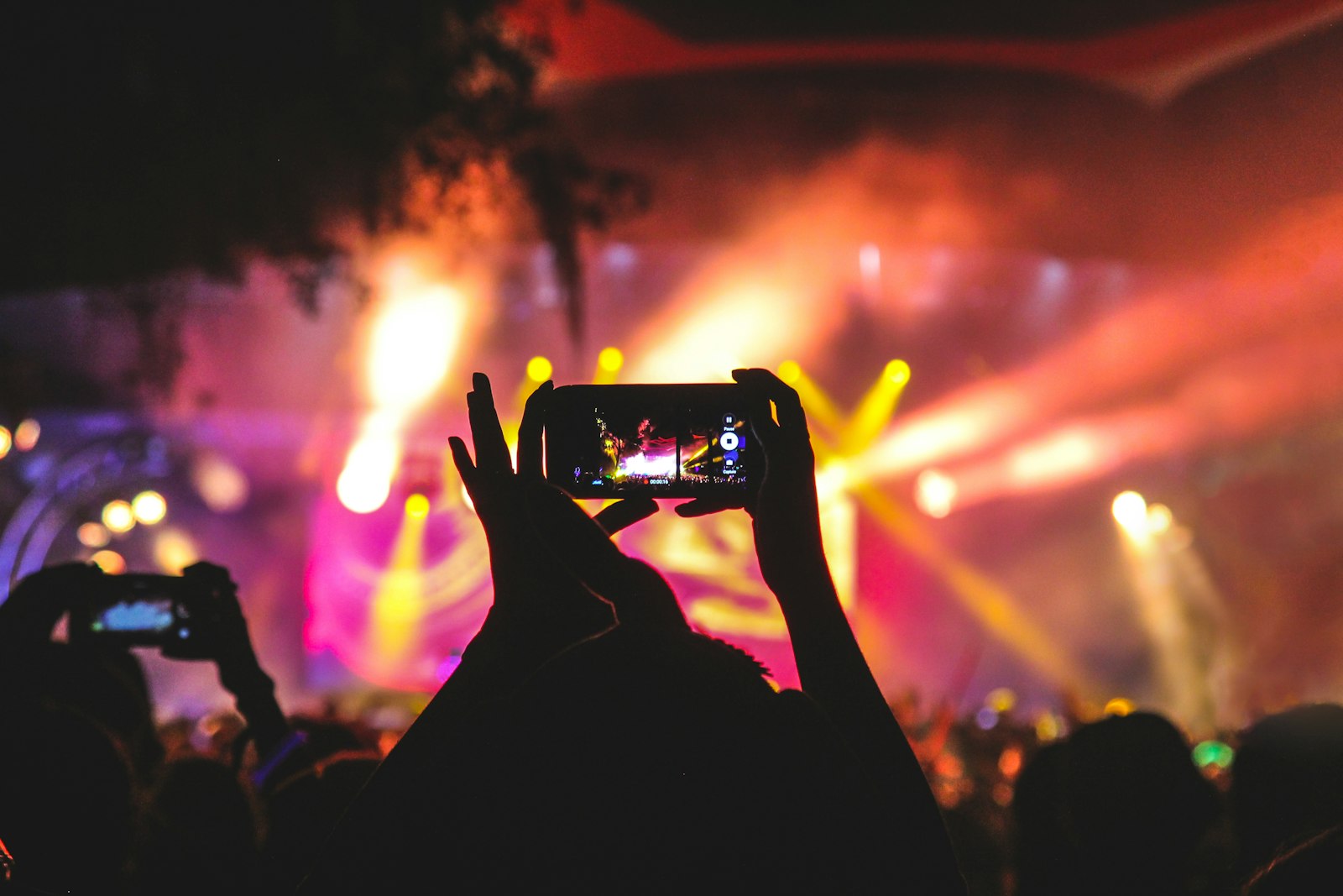 Placeholder: concert audience under stage lights